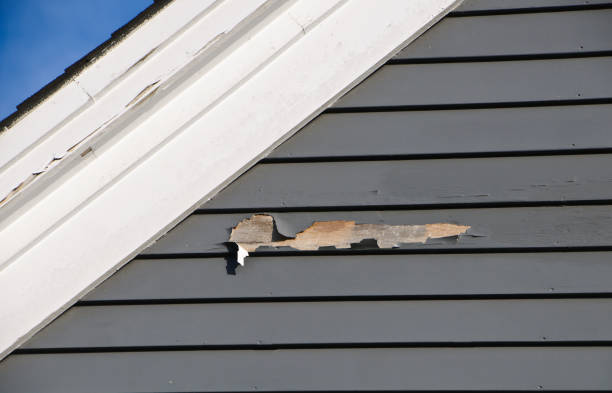 Reliable Aiken, SC Siding Solutions