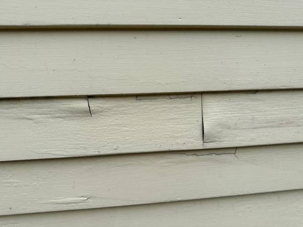 Affordable Siding Repair and Maintenance Services in Aiken, SC